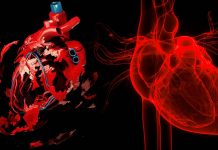 Nuova innovativa rappresentazione ai raggi X scopre in modo scioccante che SARS-CoV-2 provoca estesi danni vascolari cardiaci