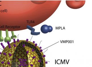 New nanoparticle adjuvant to boost vaccines effectiveness