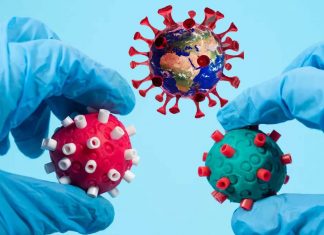 People infected with Omicron may be less susceptible to Delta variant