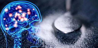 An excessive intake of sugar affect brain function