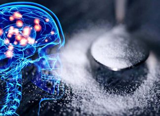 An excessive intake of sugar affect brain function