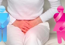 Urinary incontinence is a contributing factor in falls among older adults