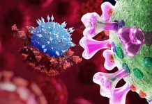 U.S. CDC And South Korea Admit B.1.619 And B.1.620 Variants Are Predominant In South Korea