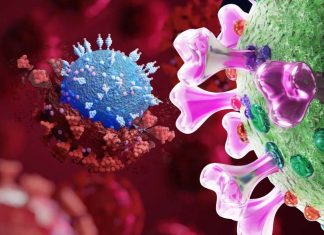 U.S. CDC And South Korea Admit B.1.619 And B.1.620 Variants Are Predominant In South Korea