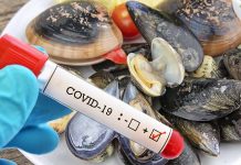 Italia: i ricercatori hanno riscontrato la prevalenza di SARS-CoV-2 nei molluschi bivalvi provenienti dalle aree di raccolta della regione Campania