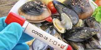 Italia: i ricercatori hanno riscontrato la prevalenza di SARS-CoV-2 nei molluschi bivalvi provenienti dalle aree di raccolta della regione Campania