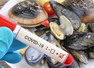 Italia: i ricercatori hanno riscontrato la prevalenza di SARS-CoV-2 nei molluschi bivalvi provenienti dalle aree di raccolta della regione Campania