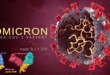 Covid-19 – Omicron Variant (B.1.1.529): Infectivity, Vaccine Breakthrough and Antibody Resistance