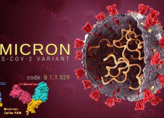 Covid-19 – Omicron Variant (B.1.1.529): Infectivity, Vaccine Breakthrough and Antibody Resistance