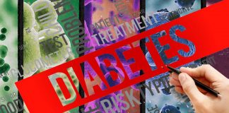 HAMSAB: a plant-based food supplement improve immune system in individuals with type 1 diabetes