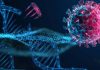 Gene variant (rs10774671-G) protects against COVID-19