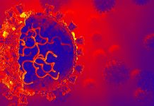 SARS-CoV-2 infection induces Human Endogenous Retrovirus Type W (HERV-W) Envelope (ENV) Protein Expression triggering a variety of clinical conditions