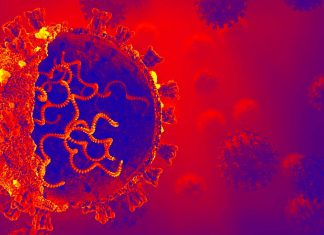 SARS-CoV-2 infection induces Human Endogenous Retrovirus Type W (HERV-W) Envelope (ENV) Protein Expression triggering a variety of clinical conditions