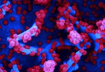 Routes to Super Immunity to COVID-19