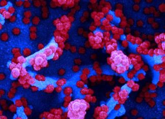 Routes to Super Immunity to COVID-19