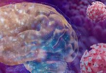 Even Mild SARS-CoV-2 Infections Will Result In Abnormalities In Cerebrospinal Fluid and Cognitive Issues