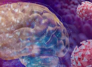 Even Mild SARS-CoV-2 Infections Will Result In Abnormalities In Cerebrospinal Fluid and Cognitive Issues