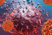 SARS-CoV-2 Infections Can Be Controlled By Inhibiting Human Host SIRT5