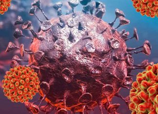 SARS-CoV-2 Infections Can Be Controlled By Inhibiting Human Host SIRT5