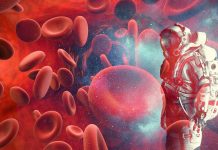 Space anemia: space travel can cause lower red blood cell counts