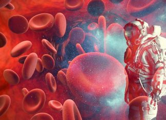 Space anemia: space travel can cause lower red blood cell counts