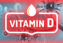 La vitamina D modula la tolleranza del sistema immunitario