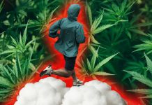Exercise increases levels of endocannabinoids in the body