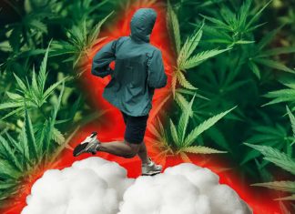 Exercise increases levels of endocannabinoids in the body