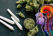 Legalization of cannabis has increased poisoning nine times