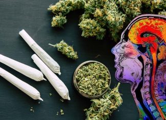 Legalization of cannabis has increased poisoning nine times