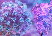 SARS-CoV-2 Cause Complement Activation Induces Excessive CD16+ T Cells With Increased Cytotoxic Functions