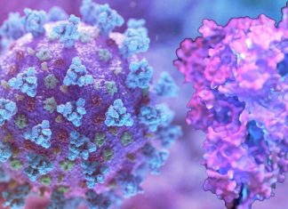 SARS-CoV-2 Cause Complement Activation Induces Excessive CD16+ T Cells With Increased Cytotoxic Functions