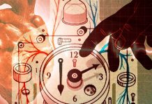 Rev-erbα/β protein – a key component of the circadian clock – is involved in the development of heart disease