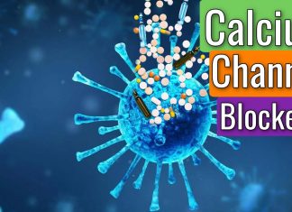 Calcium Channel Inhibitors Can Treat COVID-19 Infections