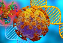 Chitinase 3-Like-1 (CHI3L1) Inhibitors Stops Replication Of SARS-CoV-2 Including Omicron In Human Host