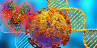 Chitinase 3-Like-1 (CHI3L1) Inhibitors Stops Replication Of SARS-CoV-2 Including Omicron In Human Host