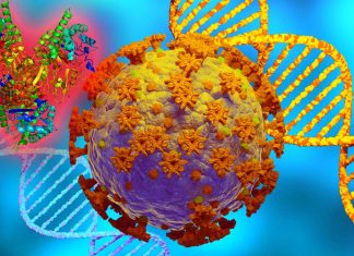 Chitinase 3-Like-1 (CHI3L1) Inhibitors Stops Replication Of SARS-CoV-2 Including Omicron In Human Host