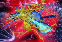 SARS-CoV-2 Is Literally Killing The Microglia Cells In The Host Brain