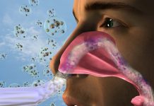 Novel vaccine strategy to prevent SARS-CoV-2 nasal infection