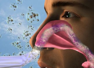 Novel vaccine strategy to prevent SARS-CoV-2 nasal infection