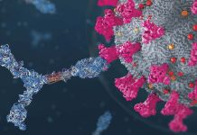 Membrane(M) Proteins Of SARS-CoV-2 Induce Altered CD4+ T Cells That Dysregulate Interferon Signaling