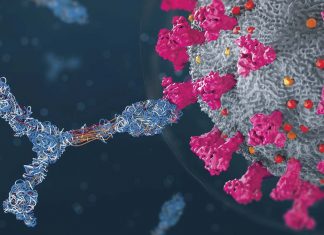 Membrane(M) Proteins Of SARS-CoV-2 Induce Altered CD4+ T Cells That Dysregulate Interferon Signaling