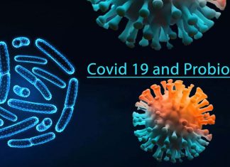 I probiotici come il Lactobacillus Rhamnosus GG possono ridurre i sintomi di COVID-19