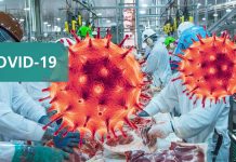 Presence Of Hydrophobic Fatty Acids And Low Temperature Enhances Binding Behavior SARS-CoV-2 Virus Especially In Meat Plants