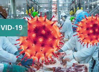 Presence Of Hydrophobic Fatty Acids And Low Temperature Enhances Binding Behavior SARS-CoV-2 Virus Especially In Meat Plants