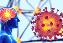 About 10 Percent Of COVID-19 Infected Individuals Will Suffer Executive Dysfunction Issues