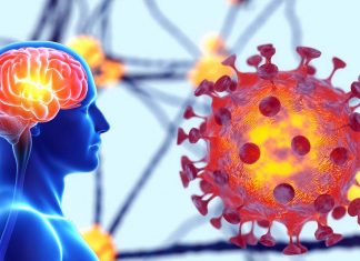 About 10 Percent Of COVID-19 Infected Individuals Will Suffer Executive Dysfunction Issues