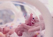 Infants born via uncomplicated cesarean delivery should not need antibiotics at birth