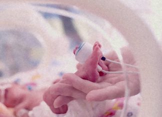 Infants born via uncomplicated cesarean delivery should not need antibiotics at birth