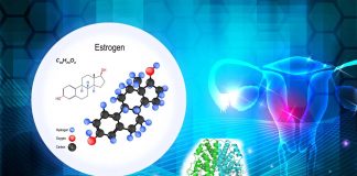 Researchers identify an estrogen-activated neurocircuit that stimulates thermogenesis